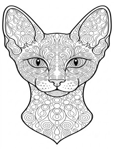 Coloriage Chat 42