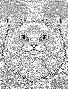 Coloriage Chat 47