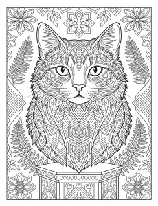 Coloriage Chat 5