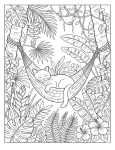Coloriage Chat 7