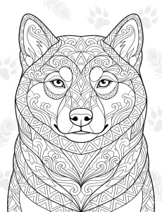 Coloriage Chien 39