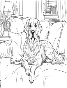 Coloriage Chien 47